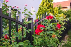 Panele ogrodzeniowe – jak je zamontować?