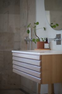 Rośliny do łazienki – jakie gatunki wybrać
